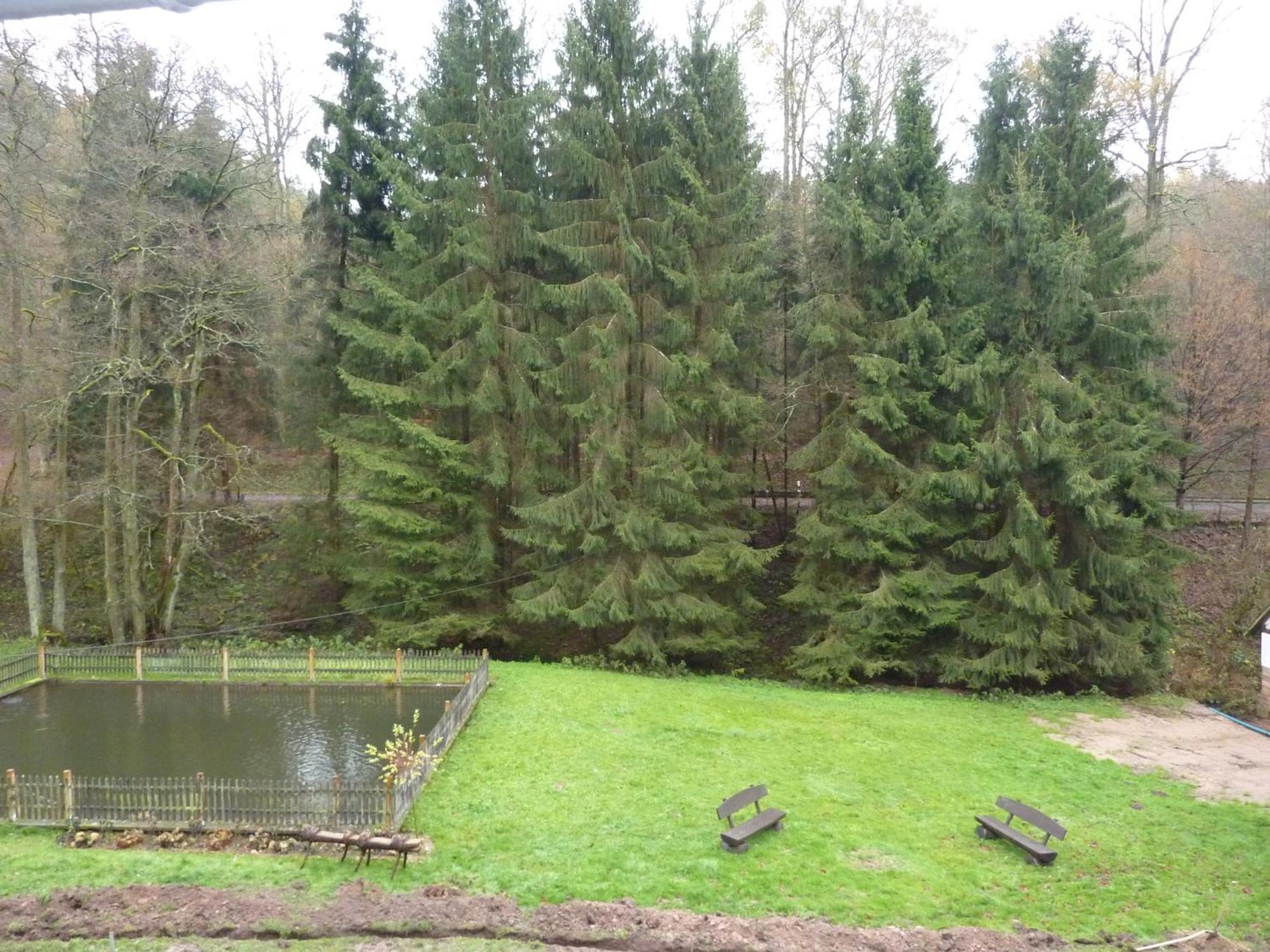 Hof Guttels Waldgasthof Ferienpension Rotenburg an der Fulda Rom bilde